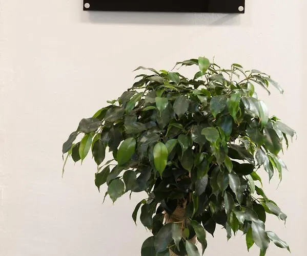 Just Creta Sea View Apartment *