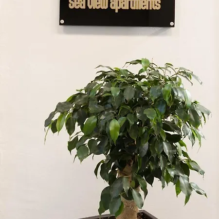 Just Creta Sea View Appartamento *